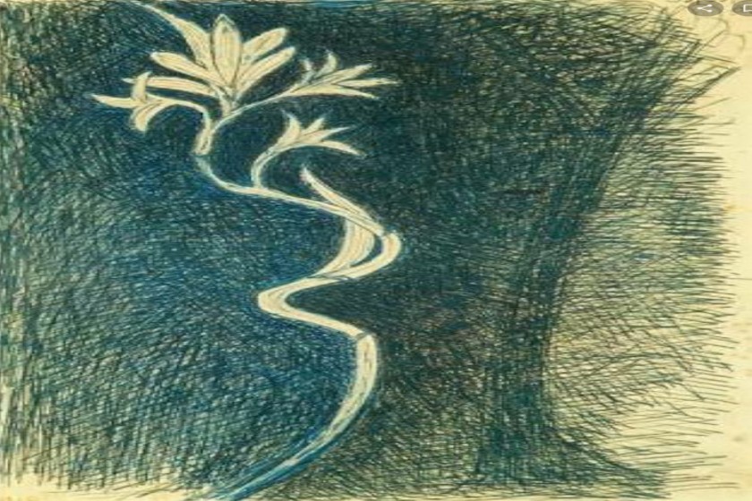 সুয়োরানীর সাধ : এক রূপকথার বিনির্মাণ